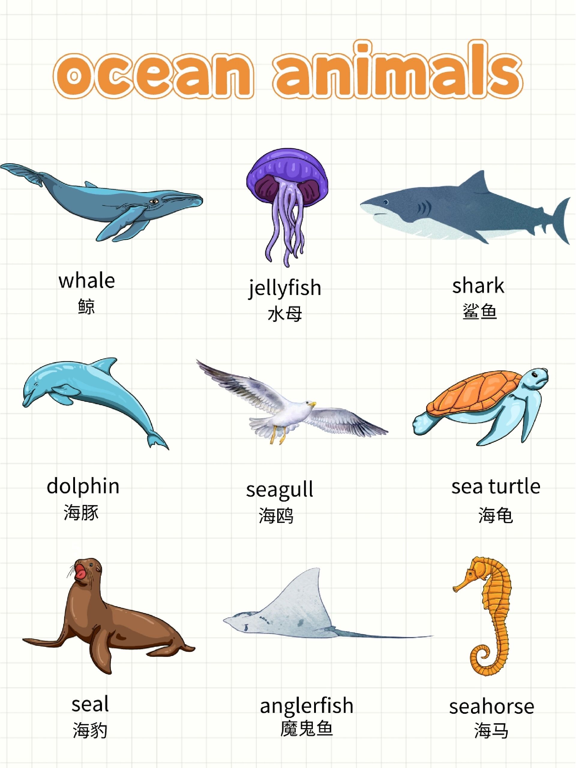 turtle英语怎么读发音