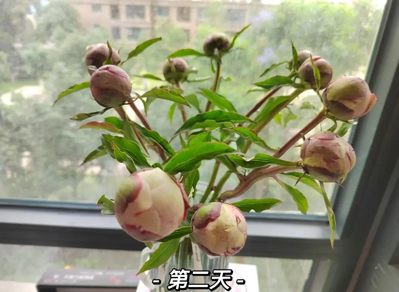 快科技下载