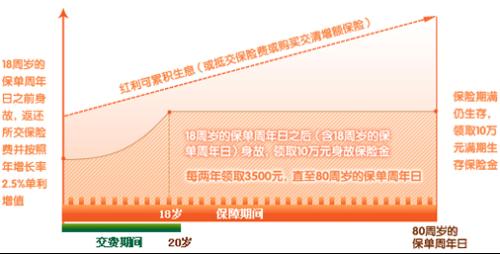 2010年鑫利保险详细介绍