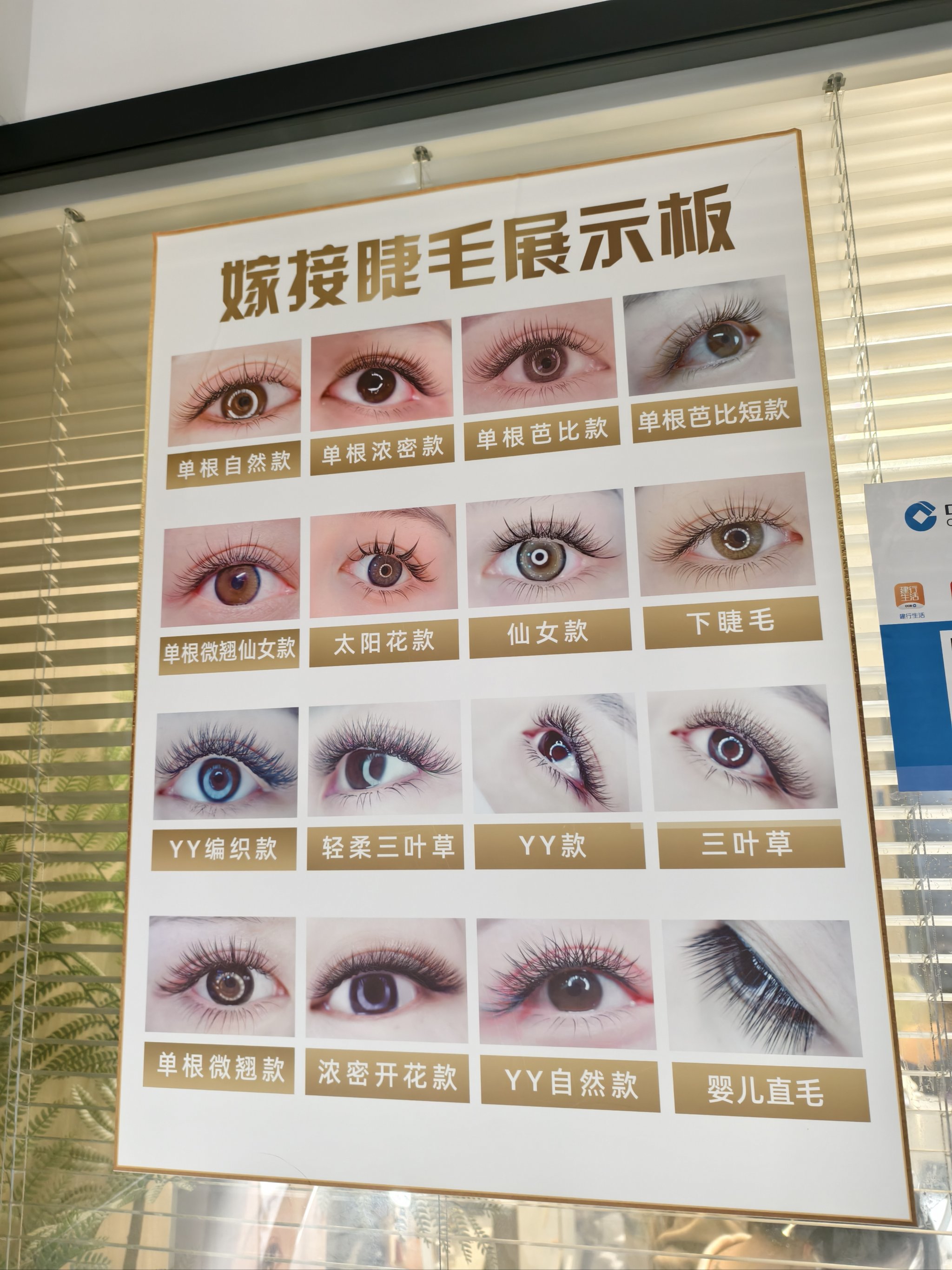 睫毛种植的价格