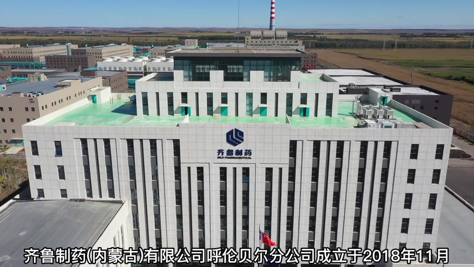 齐鲁制药是国企还是私企